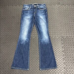 Joe's Jeans Visionaire Flare Leg Denim